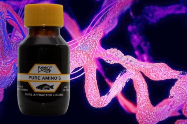Pure Amino's
