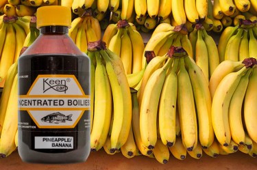 Geen afbeelding ingesteld 