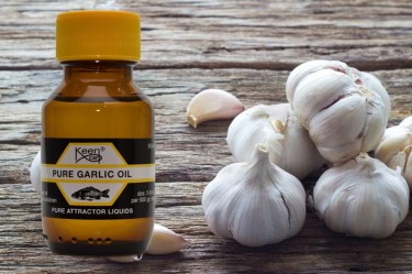Pure Garlic Oil
