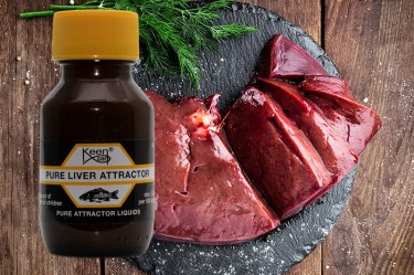 Pure Liver Attractor