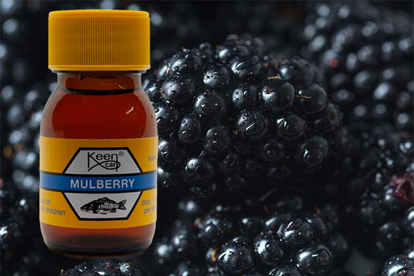 Mulberry