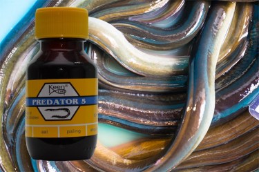 Predator 5 Eel