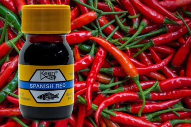 Geen afbeelding ingesteld 